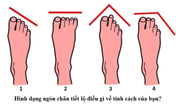 Những người sở hữu bàn chân với 3 ngón đầu tiên bằng nhau thường được xem là có tố chất lãnh đạo.