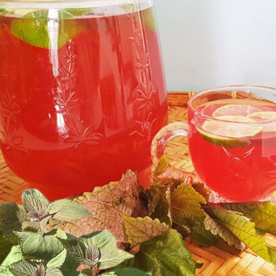 Nước tía tô giúp làm sạch mụn