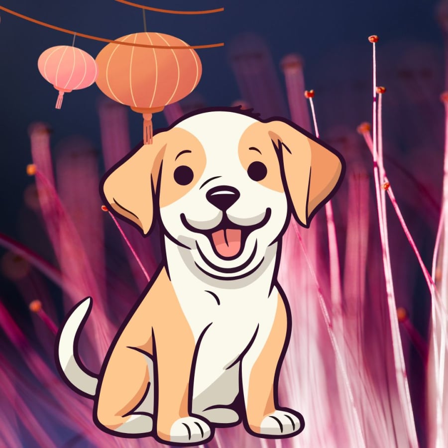 Tuổi Tuất đón năm 2026 bừng sáng